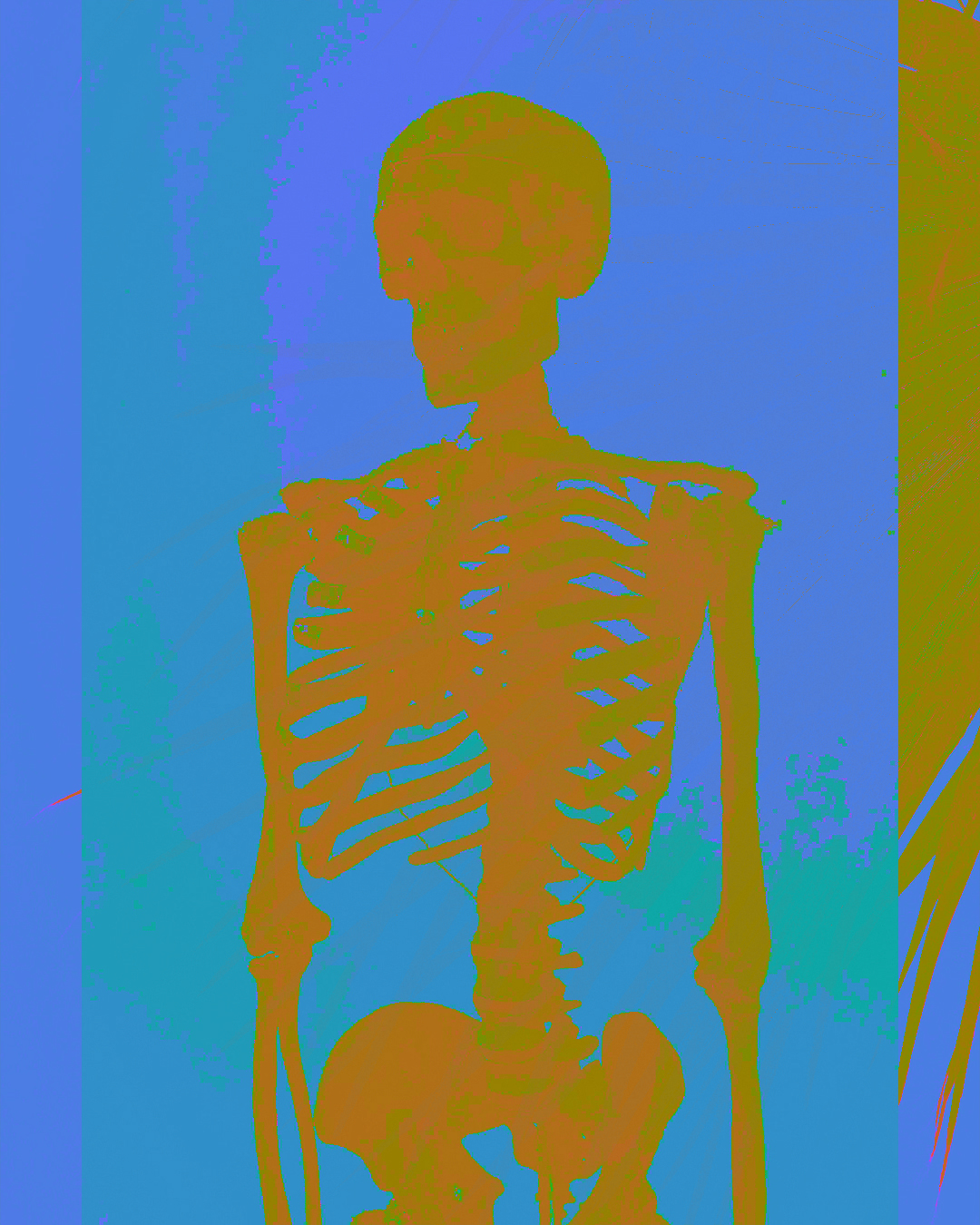 Obra 6